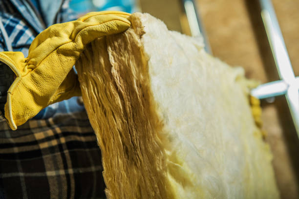 Best Commercial Insulation in Henderson, NV